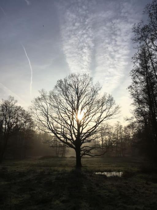 Gite D'Etape Du Tilleul, 4-8 Personnes La Celle-les-Bordes Exteriér fotografie